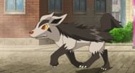 Mightyena can learn all three elemental fangs (Image via The Pokemon Company)